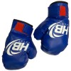 GUANTONI DA BOXE PER BAMBINI BLU 06659 